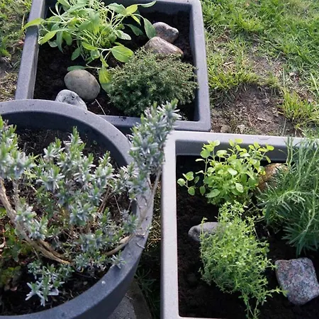 Ostseeglueck アパート ボルテンハーゲン