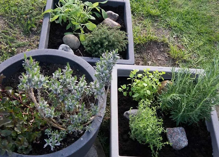 Ostseeglueck Apartmán Boltenhagen (Ostseebad)